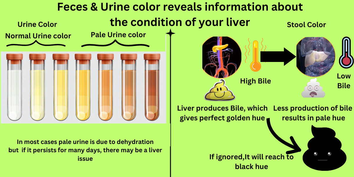 Stool symptom of liver disease